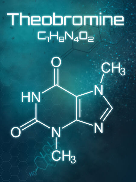 Theombromine is one type of xanthine.