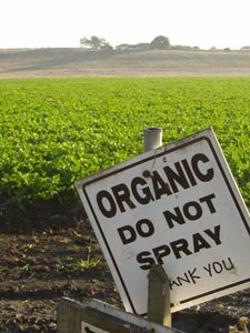 Organic Field