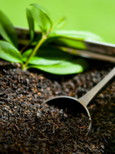 Black tea leaves