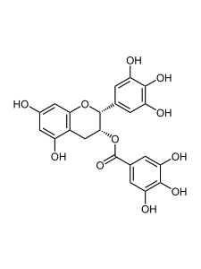 EGCG - an antioxidant in Green Tea