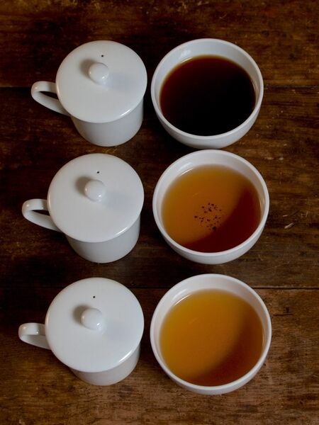 Traditional tea tasting