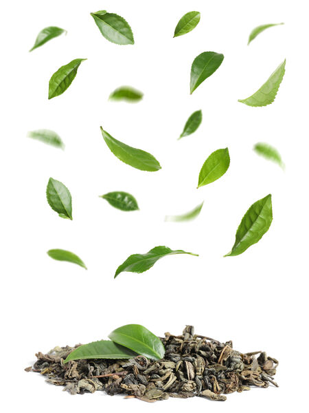 Green Tea Leaves